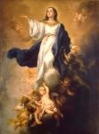 immacolata-concezione-7.jpg